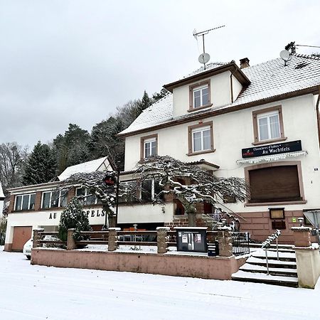 Au Wachtfels Bed & Breakfast Obersteinbach Ngoại thất bức ảnh